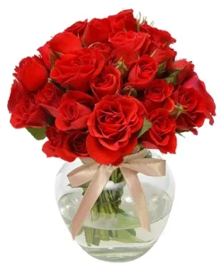 Brisa de Rosas Red