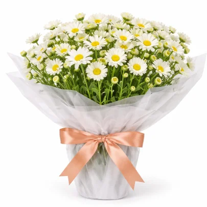 Margaridinhas Plantadas
