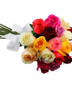 Buquê de 18 Rosas Coloridas